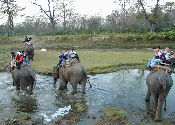 chitwan.jpg chitwan.jpg
