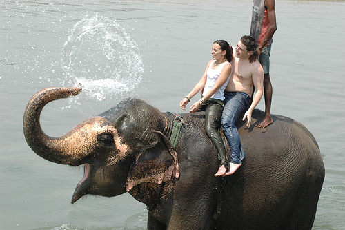 chitwan-national-park.jpg chitwan-national-park.jpg