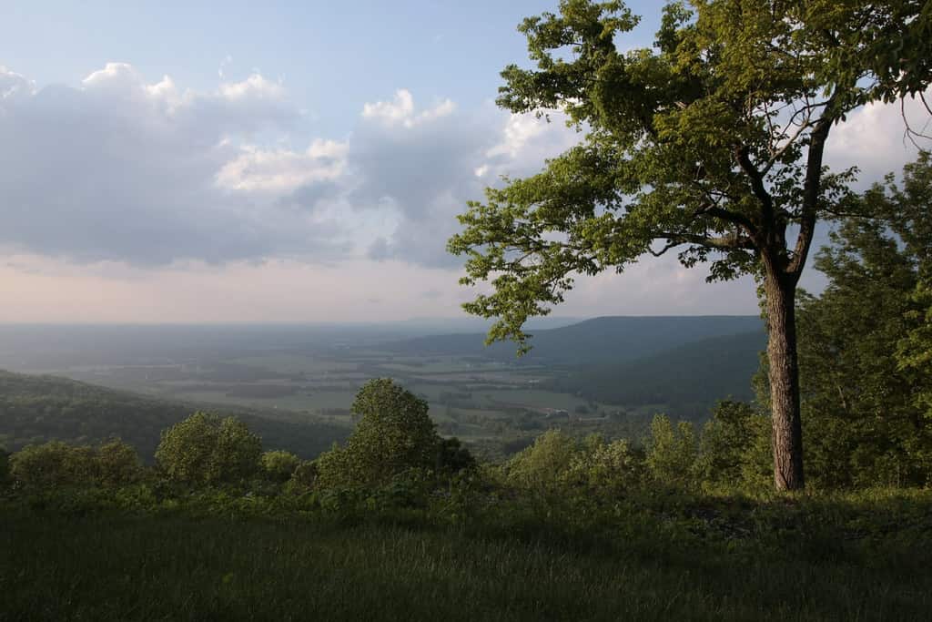 Places to Visit in Tennessee for Families